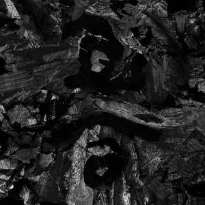 柯南操逼动画视频小兰
